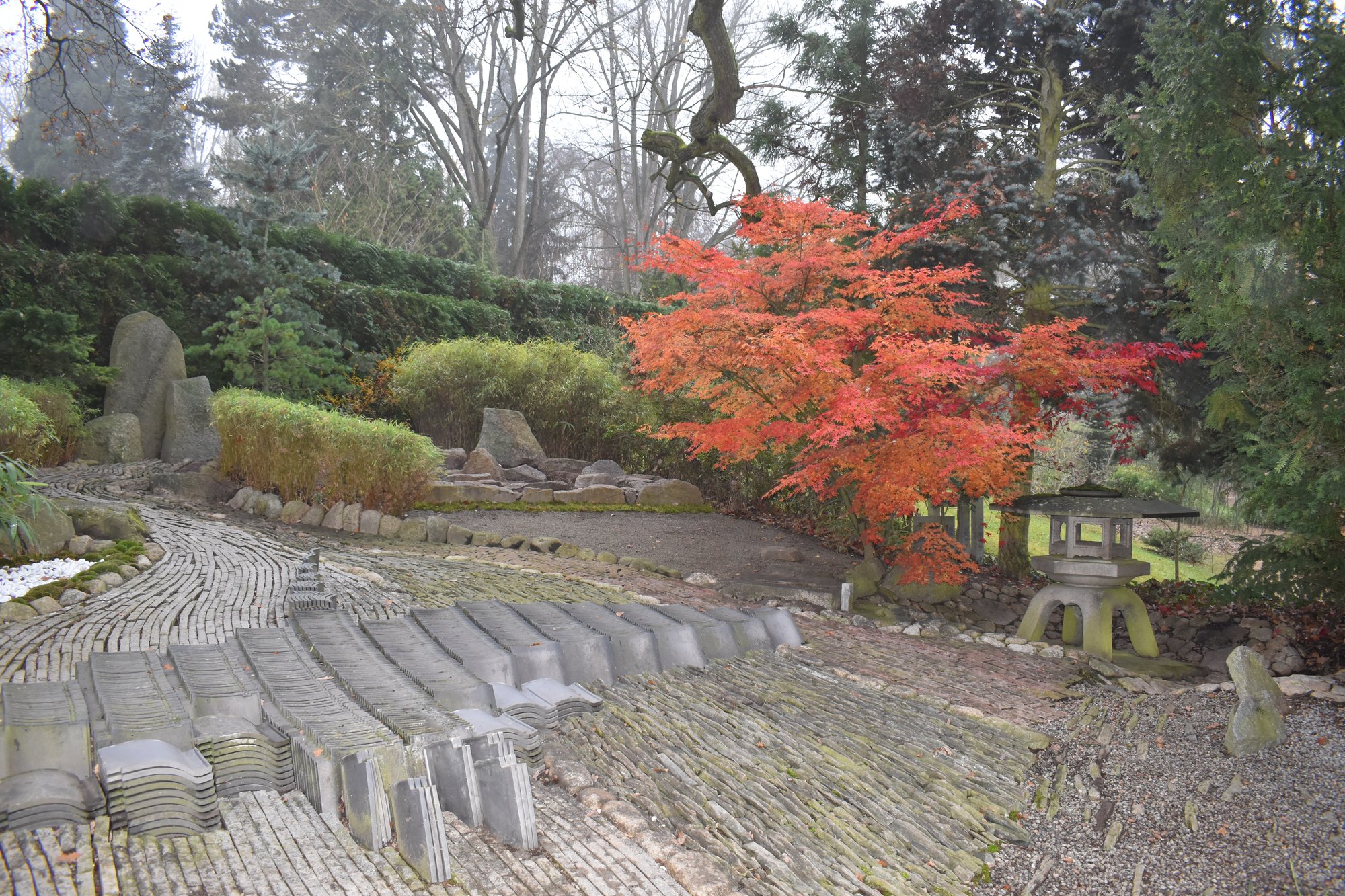 Velvyslanec Japonska v ČR navštívil Zoo v Plzni (foto: A. Jarošová, 15.11.2022)