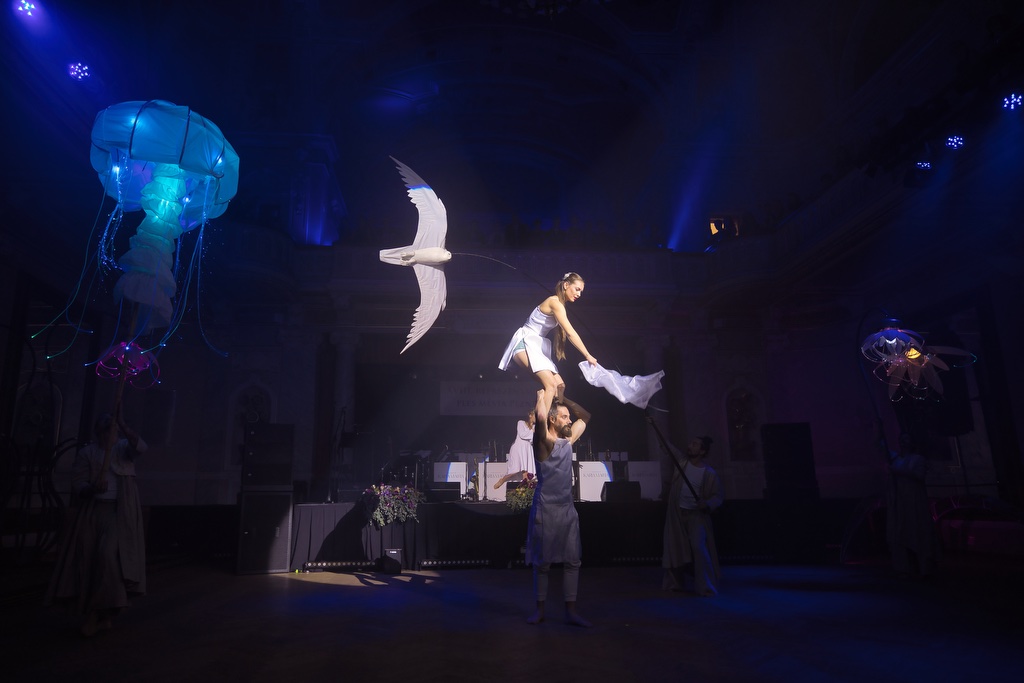 Ples města Plzně - Magická noc (foto: R. Muchka, 20.1.2023)