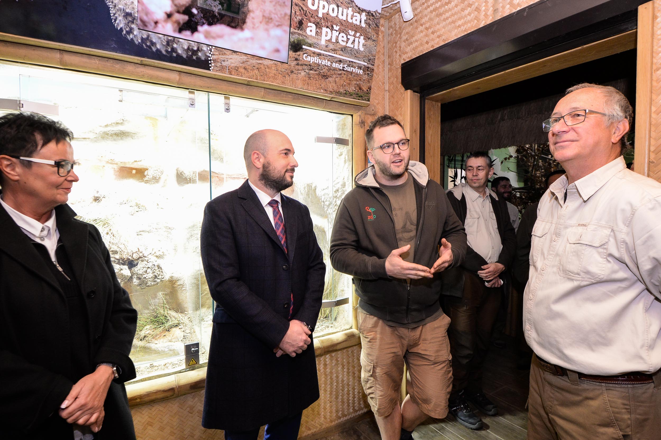Zoo Plzeň přivítala ojedinělý přírůstek, v Království jedu chová zmiji pavoučí (foto: M. Pecuch, 23.2.2023)