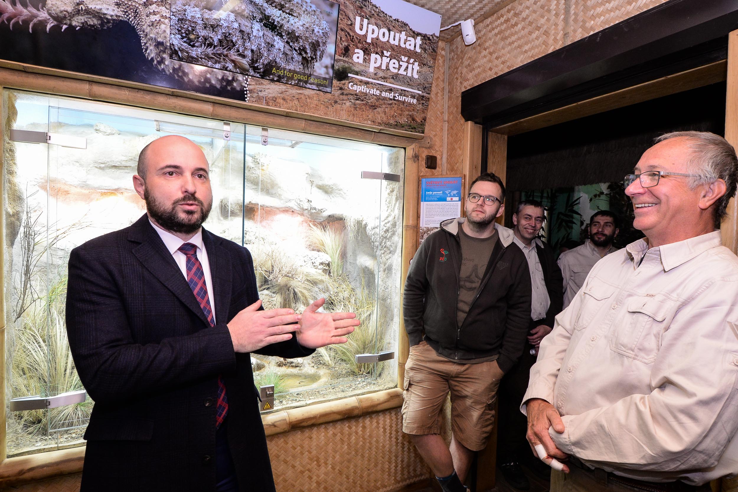 Zoo Plzeň přivítala ojedinělý přírůstek, v Království jedu chová zmiji pavoučí (foto: M. Pecuch, 23.2.2023)