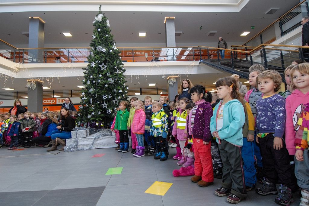 Celkem 717 kilogramů žaludů nasbírali rodiče a děti z 54. mateřské školy v Plzni se sportovním zaměřením, plody pomohou plzeňské zoologické zahradě jako krmení pro zubry evropské, prasata, jeleny a další zvířata. Všechny třídy, které se do sběru zapojily, ocenil dnes primátor města Martin Zrzavecký se zástupci čtvrtého plzeňského obvodu. Děti získaly diplomy a věcné dary od města. Nejlépe si vedla třída žlutých, která nasbírala 297 kilogramů žaludů, druhá byla fialová třída s 246 kilogramy, třetí červená se 154,5 kilogramu plodů. (24.11.2015)