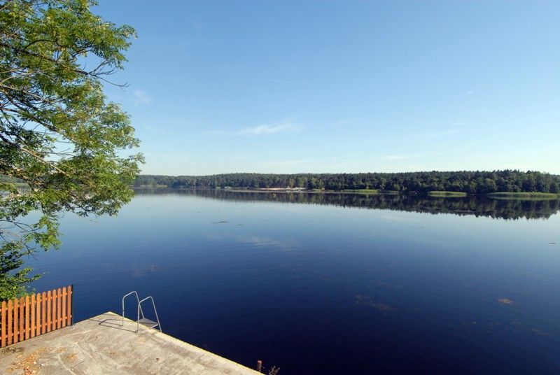 Velký bolevecký rybník (foto: 23.7.2013)