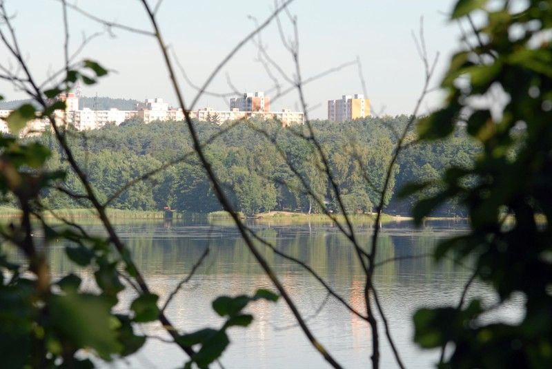 Velký bolevecký rybník (foto: 23.7.2013)