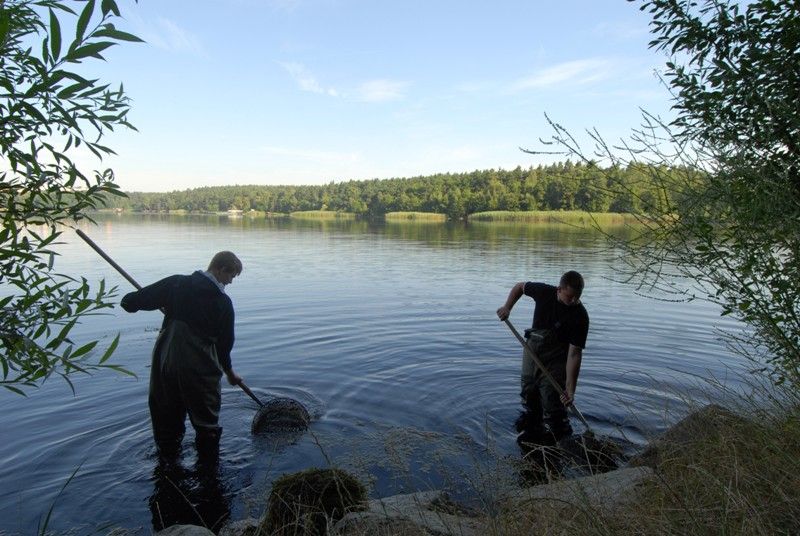 Velký bolevecký rybník (foto: 23.7.2013)