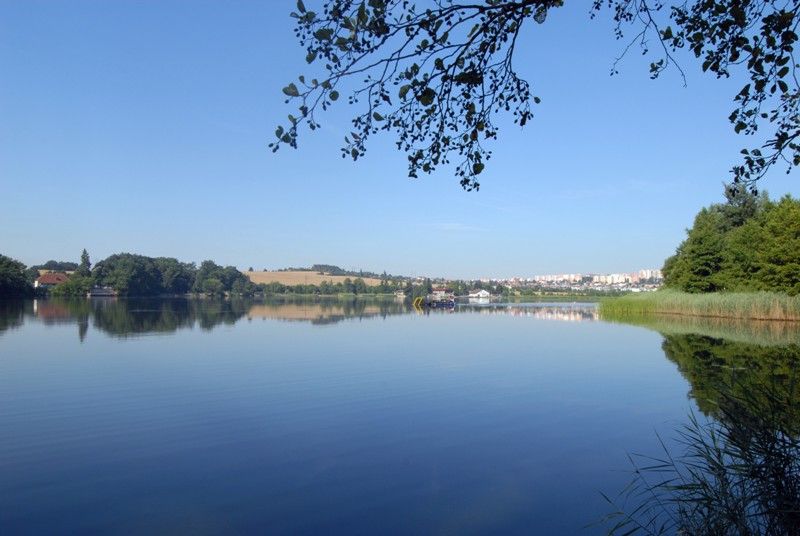 Velký bolevecký rybník (foto: 23.7.2013)