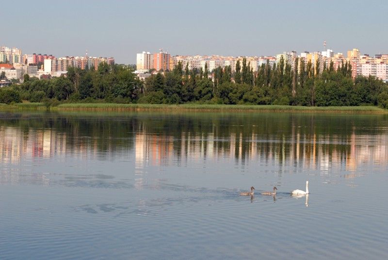 Velký bolevecký rybník (foto: 23.7.2013)