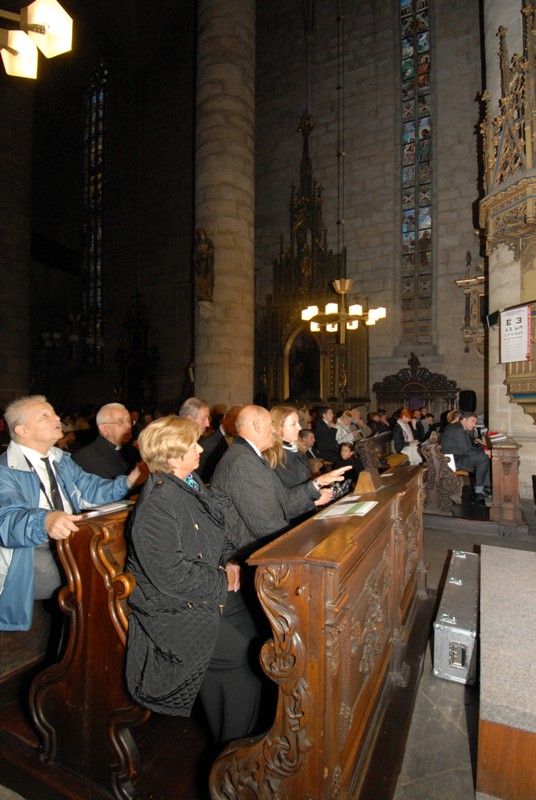 K Řeznu stejně jako velkolepé památky patří chlapecký pěvecký sbor Regensburger Domspatzen (Řezenští vrabčáci). Ten v katedrále sv. Bartoloměje vystoupil poprvé v pátek 13. září 2013 v doprovodu Plzeňské filharmonie. Výjimečný koncert se konal u příležitosti dvacátého výročí partnerství Plzně a Řezna. Korunovační mši C dur Wolfganga Amadea Mozarta a další skladby si přišli do vznešeného prostoru katedrály poslechnout také oba primátoři měst, Hans Schaidinger a Martin Baxa, kteří se před koncertem krátce sešli na plzeňské radnici.