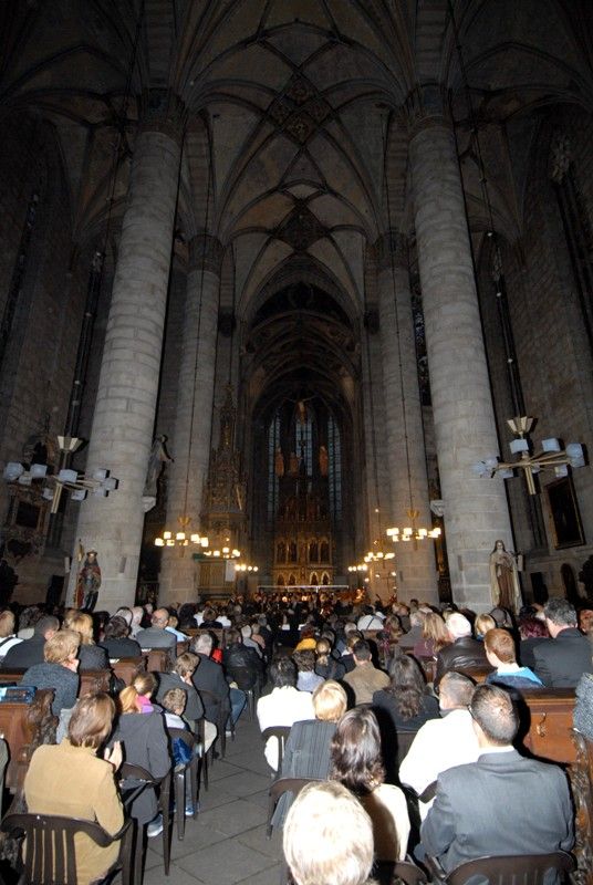 K Řeznu stejně jako velkolepé památky patří chlapecký pěvecký sbor Regensburger Domspatzen (Řezenští vrabčáci). Ten v katedrále sv. Bartoloměje vystoupil poprvé v pátek 13. září 2013 v doprovodu Plzeňské filharmonie. Výjimečný koncert se konal u příležitosti dvacátého výročí partnerství Plzně a Řezna. Korunovační mši C dur Wolfganga Amadea Mozarta a další skladby si přišli do vznešeného prostoru katedrály poslechnout také oba primátoři měst, Hans Schaidinger a Martin Baxa, kteří se před koncertem krátce sešli na plzeňské radnici.