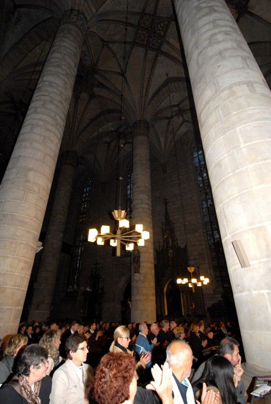 K Řeznu stejně jako velkolepé památky patří chlapecký pěvecký sbor Regensburger Domspatzen (Řezenští vrabčáci). Ten v katedrále sv. Bartoloměje vystoupil poprvé v pátek 13. září 2013 v doprovodu Plzeňské filharmonie. Výjimečný koncert se konal u příležitosti dvacátého výročí partnerství Plzně a Řezna. Korunovační mši C dur Wolfganga Amadea Mozarta a další skladby si přišli do vznešeného prostoru katedrály poslechnout také oba primátoři měst, Hans Schaidinger a Martin Baxa, kteří se před koncertem krátce sešli na plzeňské radnici.