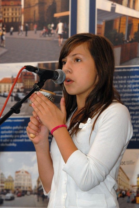 Vernisáž výstavy Oživení centrální oblasti Plzně se konala v mázhauzu plzeňské radnice 7. října 2013