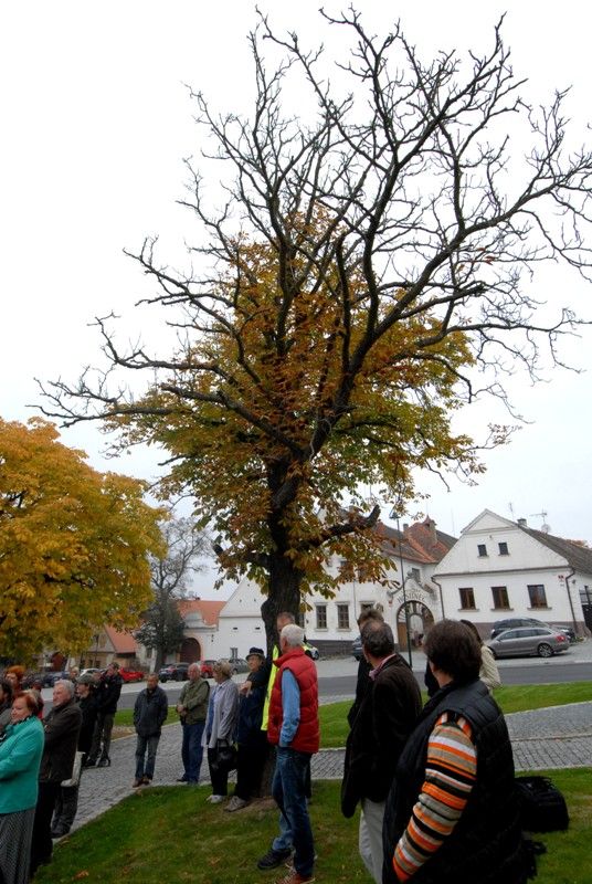 Jedna z nejzachovalejších historických návsí na Plzeňsku se dočkala obnovy. Rekonstrukce za necelých 38 milionů korun zahrnovala nejen úpravy komunikací, včetně parkovacích ploch a příjezdových cest k domům, výstavbu nové kanalizace a rekonstrukci vodovodů, ale také úpravu zeleně. Druhý městský obvod počítá s tím, že by Koterovská náves mohla sloužit pro pořádání kulturních a společných akcí. Chtěl by sem přilákat i turisty. Mobiliář návsi byl proto doplněn o lavičky, pítko a především rozcestníky a interaktivní informační tabule mapující historii a zajímavosti obce. (foto: 8.10.2013)