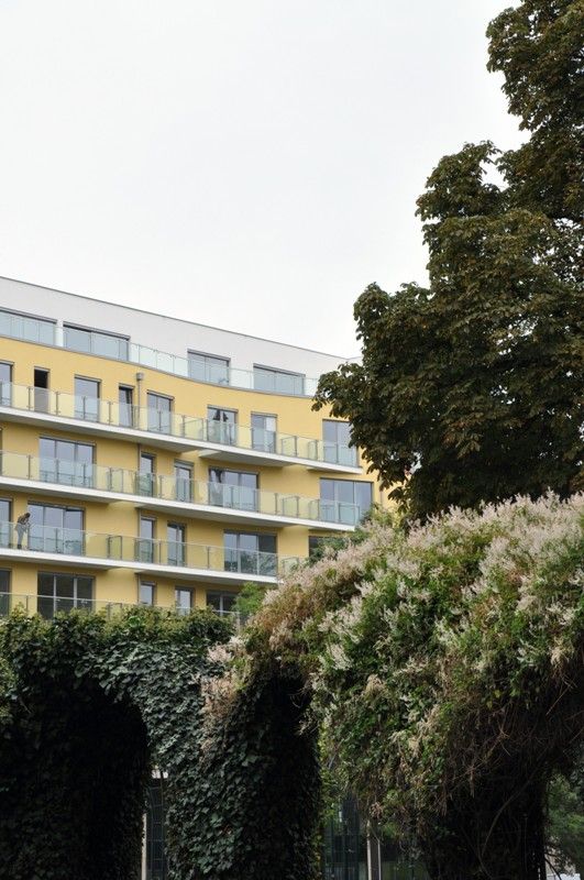 Na fotografiích je zachycena nová budova Palác Ehrlich, sochy Spejbla a Hurvínka. (foto: 10.10.2013)