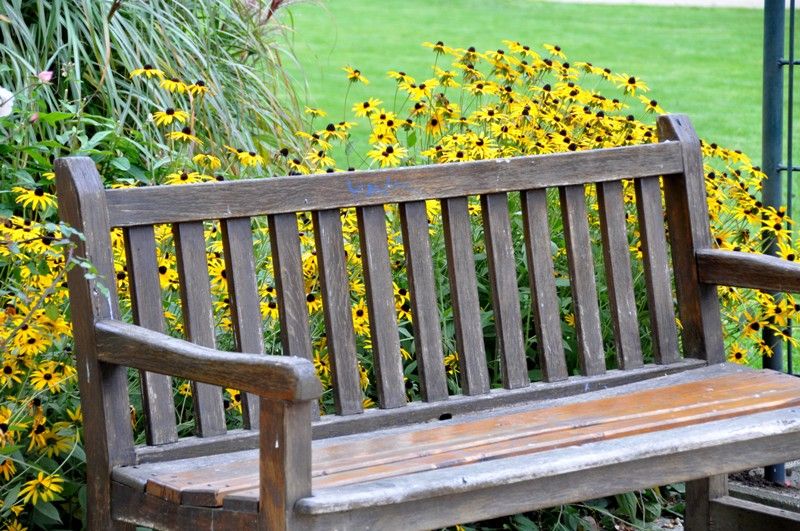 Na fotografiích je zachycena nová budova Palác Ehrlich, sochy Spejbla a Hurvínka. (foto: 10.10.2013)
