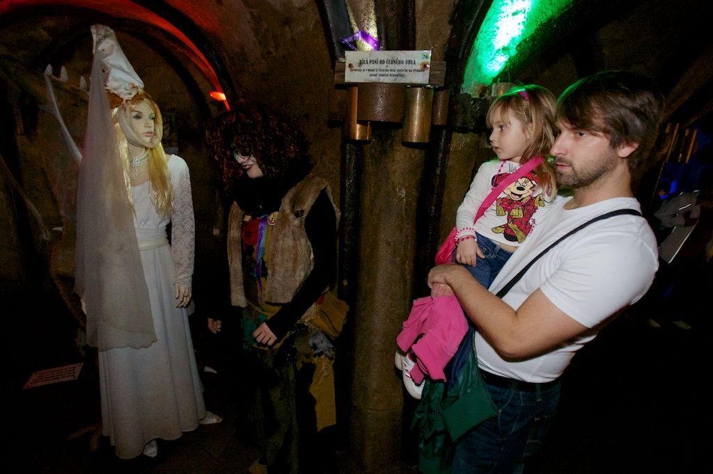 Ohňostroj na hudbu Antonína Dvořáka a Bedřicha Smetany zakončil včera plzeňské dvoudenní oslavy vzniku samostatného československého státu. Lampionový Průvod světel přivedl z náměstí T. G. Masaryka, kde si lidé připomněli události 28. října 1918, na náměstí Republiky tisíce lidí. Státní hymna zazněla před samotným ohňostrojem v podání sopranistky Evy Urbanové. Po celé dva dny se zájmu návštěvníků těšily vybrané pamětihodnosti jako například radnice, Loosovy interiéry, obě synagogy, muzea, vyhlídková věž katedrály nebo jízdy tramvají. Zlevněné vstupné a teplé počasí nalákalo davy lidí do zoologické zahrady. Návštěvníků sem přišlo rekordních 17 tisíc. Zcela vyprodané bylo i představení Divadla Semafor Kdyby tisíc klarinetů. Bohatý program nejen pro Plzeňany připravila radnice již poosmé. (foto: R. Muchka, 27.-28.10.2013)