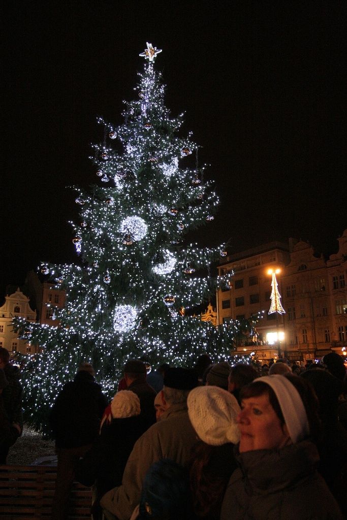 V Plzni začal advent, období ztišení, klidu, rozjímání, rozsvícením čtrnáctimetrového smrku primátorem Martinem Baxou a biskupem Františkem Radkovským za pomoci dětí z denního stacionáře Človíček. (foto: M. Böhm, 1.12.2013)