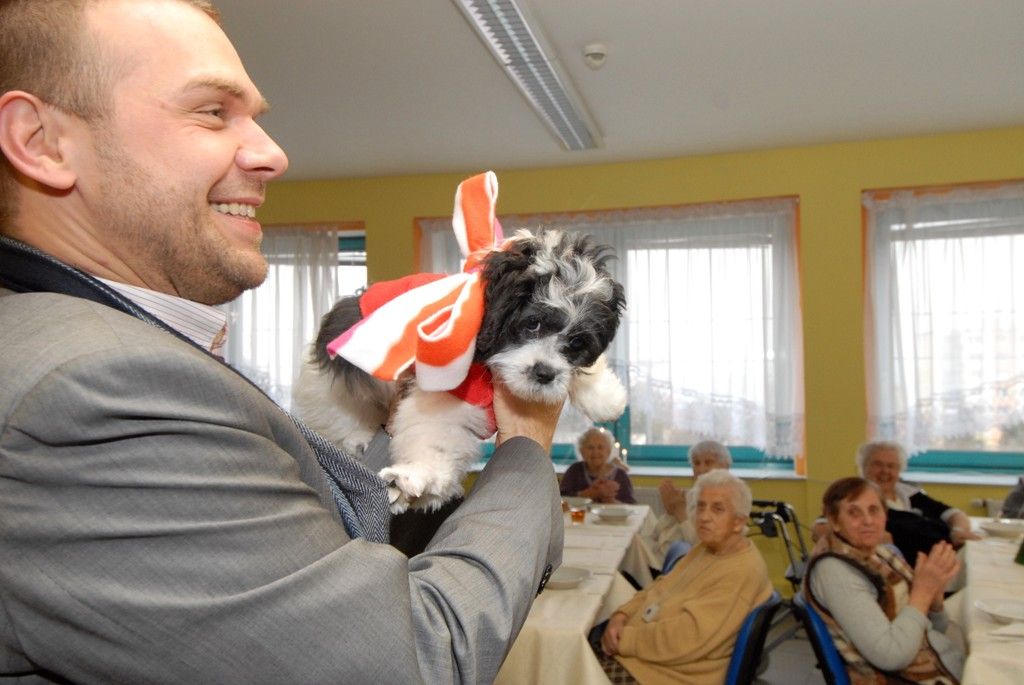 Putování po plzeňských sociálních zařízeních a rozdávání dárků těm, kteří tolik radosti nemají, se stalo pro členy vedení města mnohaletou tradicí. Každoročně navštěvují zařízení pro seniory, zdravotně postižené i opuštěné děti a snaží se jim zpříjemnit prožití vánočních svátků, které mnohdy nemohou trávit doma. Primátor Martin Baxa, náměstkyně Eva Herinková a Jiří Kuthan se vydali ve středu 18.12.2013 obdarovat klienty celkem dvanácti sociálních zařízení.