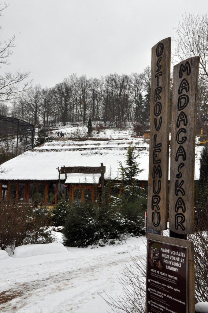 Základní kámen nové expozice za zhruba 25 milionů korun slavnostně odhalili v zoologické zahradě zástupci města, městského obvodu a společnosti Swietelsky, která dva pavilony do listopadu letošního roku postaví. V rámci prvního tematického celku nazvaného Amazonie – prales, voda, člověk bude vybudován pavilon opic drápkatých. Ve druhé etapě věnované oblasti Středomoří vznikne expozice suchozemských želv. Podle finančních možností města by mohl vzniknout ještě třetí pavilon zaměřený na Etiopskou vysočinu. Projekt Stopy člověka v přírodě vychází ze schváleného a postupně realizovaného generelu rozvoje zoologické zahrady. Její návštěvníky má seznámit se vznikem lidské civilizace a s dopady vlivu člověka na životní prostředí. Obě v současné době budované etapy podpořila Evropská unie dotací ve výši 17 milionů korun. Město se podílí částkou téměř 7 milionů korun, jeden milion poskytne první městský obvod a 440 tisíc korun zoologická zahrada. (foto: 29.1.2014)