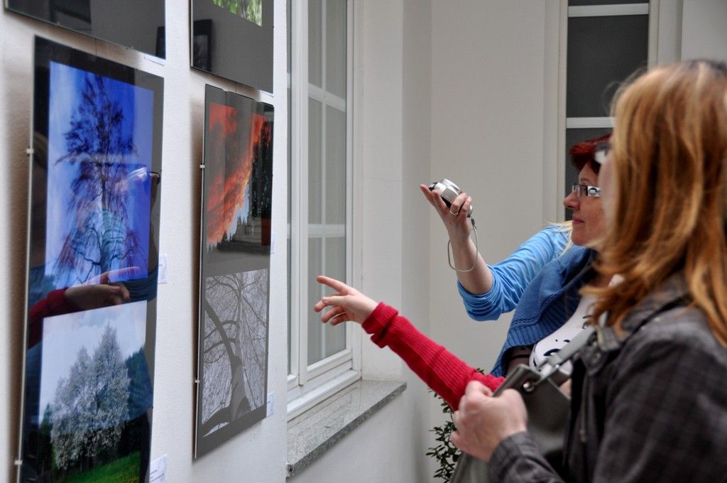 Přírodní krásy Plzeňska jsou k vidění v Galerii Bílé nároží