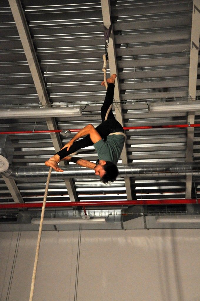 Poetické fyzické představení bylo ve středu 9. března 2014 k vidění na Fakultě designu a umění Ladislava Sutnara ZČU v podání čtyř mladých mužů, Čecha, Francouze, Itala a Švýcara. Na závěr své čtrnáctidenní umělecké rezidence, kterou podpořila společnost Plzeň 2015, prezentovali úsilí pro připravovaný mezinárodní projekt nového cirkusu Veroniky Riedlbauchové WaYting. Ze 134 projektů byli Breno Caetano, Joachim Ciocca, Quido Vaccarezza a Nahuel Desanto vybráni mezi patnáct nejlepších. Nyní musí svým vystoupením dokázat, že patří mezi špičku projektu Next, který podporuje a rozvíjí nový cirkus. V České republice je podobnou organizací Cirqueon. (foto: Z. Kubalová)