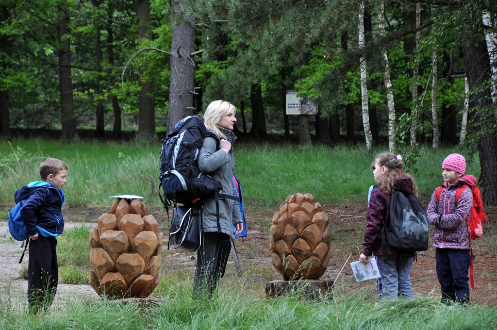 V prostoru horní plochy arboreta Sofronka byl slavnostně 14.5.2014 otevřen areál, který má sloužit především pro lesní pedagogiku. Doplní naučnou stezku borovic a expozici věnovanou včelařství, které se v Sofronce nacházejí. Nově tak vznikla unikátní prohlídková trasa s informačními panely v okolí rybníků Vydymáček a Rozkopaný sloužící především pro školy a registrované skupiny k environmentální a lesnické výchově. Jde o další krok Správy veřejného statku města Plzně, do níž bylo arboretum v roce 2010 začleněno.