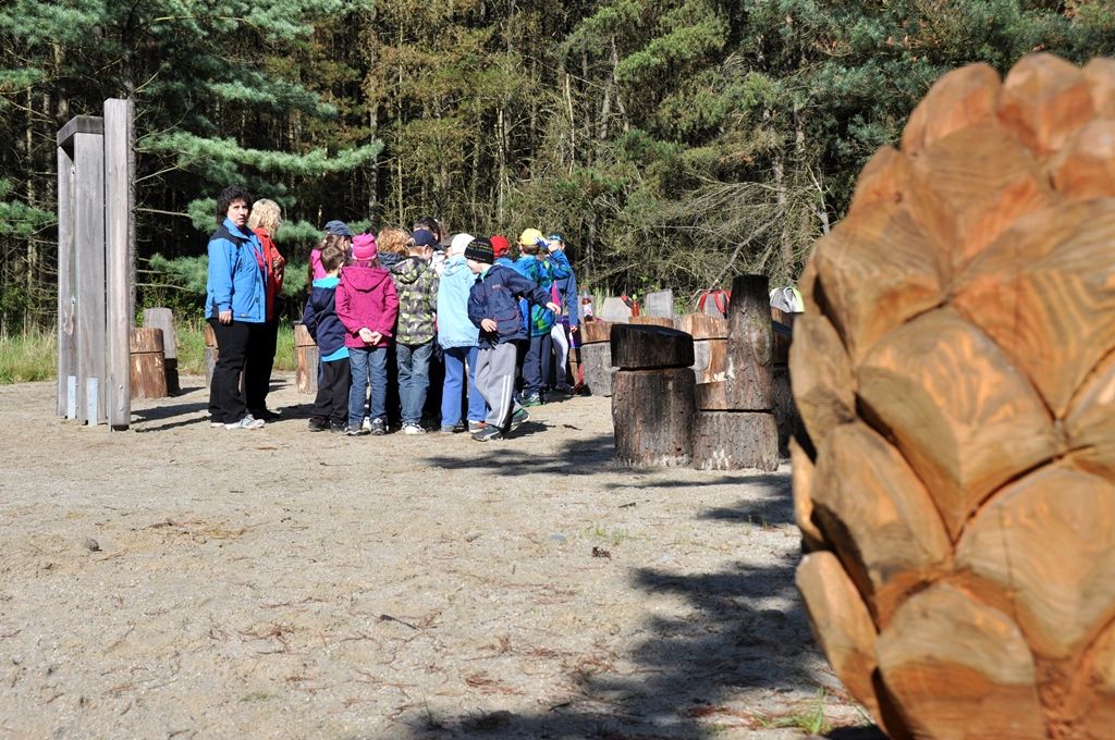 V prostoru horní plochy arboreta Sofronka byl slavnostně 14.5.2014 otevřen areál, který má sloužit především pro lesní pedagogiku. Doplní naučnou stezku borovic a expozici věnovanou včelařství, které se v Sofronce nacházejí. Nově tak vznikla unikátní prohlídková trasa s informačními panely v okolí rybníků Vydymáček a Rozkopaný sloužící především pro školy a registrované skupiny k environmentální a lesnické výchově. Jde o další krok Správy veřejného statku města Plzně, do níž bylo arboretum v roce 2010 začleněno.