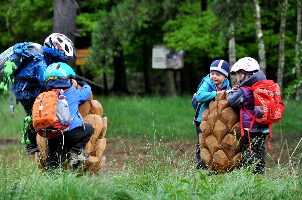 V prostoru horní plochy arboreta Sofronka byl slavnostně 14.5.2014 otevřen areál, který má sloužit především pro lesní pedagogiku. Doplní naučnou stezku borovic a expozici věnovanou včelařství, které se v Sofronce nacházejí. Nově tak vznikla unikátní prohlídková trasa s informačními panely v okolí rybníků Vydymáček a Rozkopaný sloužící především pro školy a registrované skupiny k environmentální a lesnické výchově. Jde o další krok Správy veřejného statku města Plzně, do níž bylo arboretum v roce 2010 začleněno.