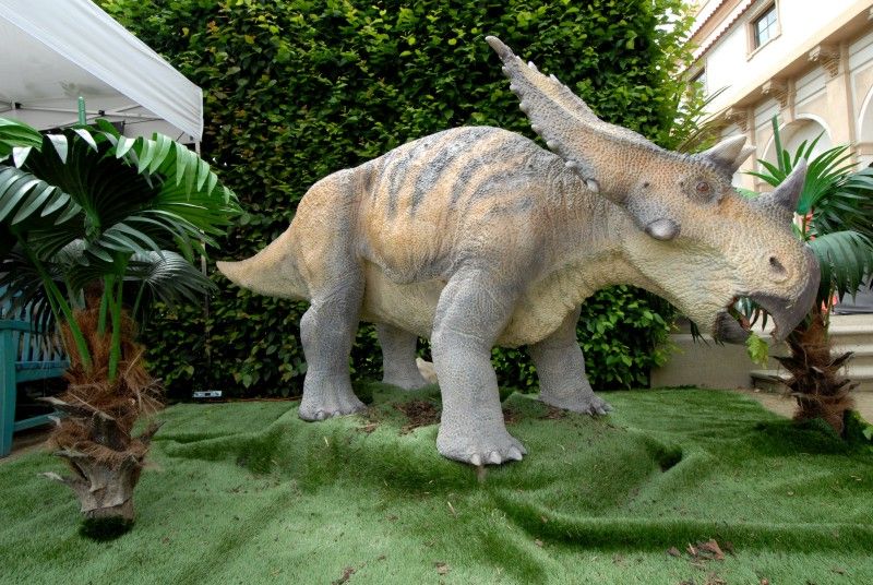 Den Plzně v Senátu s projektem Evropské hlavní město kultury 2015 (Valdštejnská zahrada, Praha, 19. června 2010)