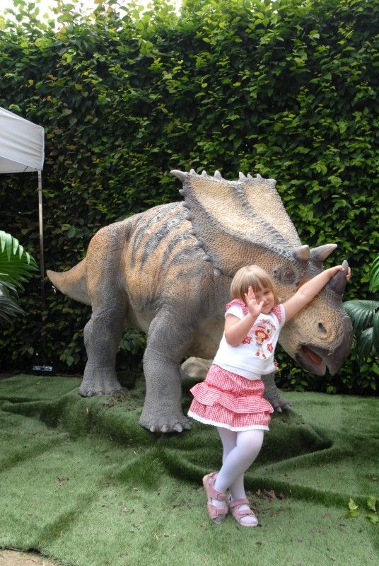 Den Plzně v Senátu s projektem Evropské hlavní město kultury 2015 (Valdštejnská zahrada, Praha, 19. června 2010)