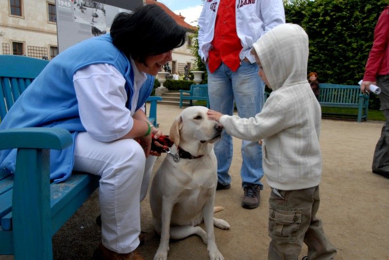 Den Plzně v Senátu s projektem Evropské hlavní město kultury 2015 (Valdštejnská zahrada, Praha, 19. června 2010)