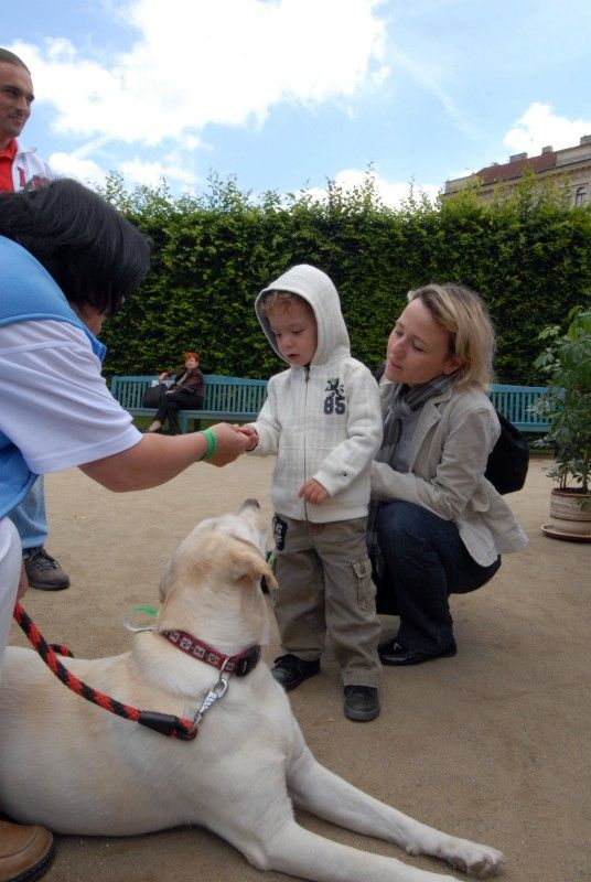 Den Plzně v Senátu s projektem Evropské hlavní město kultury 2015 (Valdštejnská zahrada, Praha, 19. června 2010)