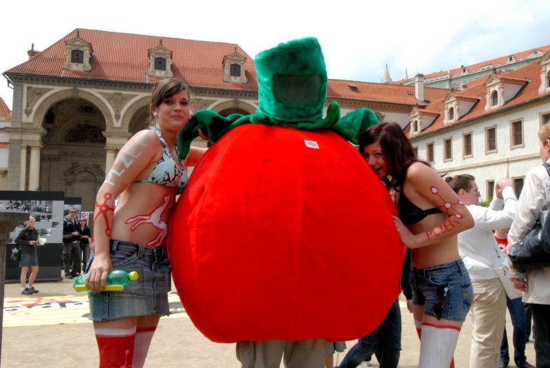 Den Plzně v Senátu s projektem Evropské hlavní město kultury 2015 (Valdštejnská zahrada, Praha, 19. června 2010)