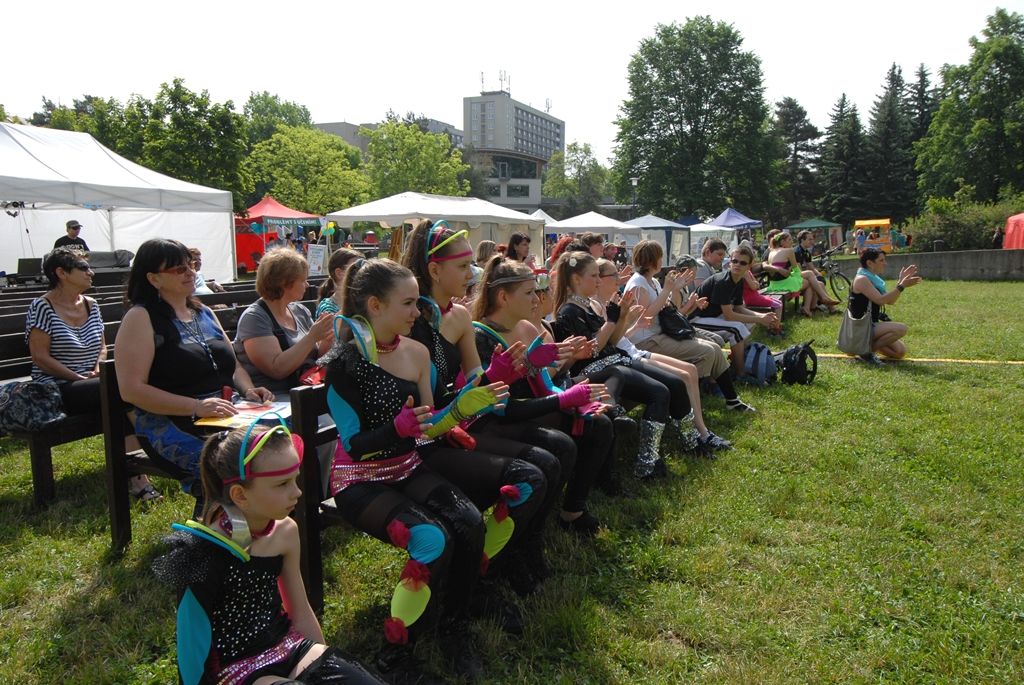Pošestnácté se v Plzni koná Bambiriáda, akce, při níž se prezentují spolky dětí, mládeže a středisek volného času z celého Plzeňského kraje. Letos organizacím pracujícím s dětmi a mládeží ve volném čase poskytly zázemí Chvojkovy lomy na Slovanech. Jejich stánkovou prezentaci doplňuje pódiový program, při kterém se představují desítky tanečních souborů, hudebních skupin a amatérských umělců z řad dětí a mládeže. Pro návštěvníky jsou připraveny také ukázky hasičské a vojenské techniky. (foto: 23.5.2014)