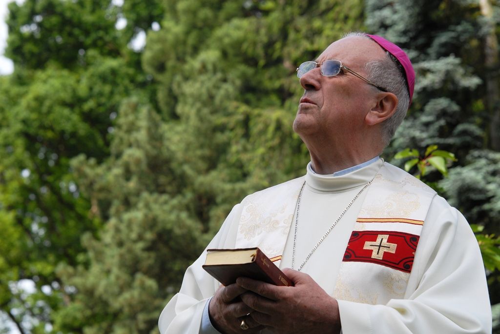 Druhou sochu věnoval plzeňské zoologické zahradě německý výtvarník Harald Bäumler z Ambergu. Vedle obřího mravence lesního v útočném postavení, kterého získala zoo před pěti lety, se stala součástí botanické zahrady socha trávy. Společně s ředitelem Jiřím Trávníčkem ji odhalil primátor Martin Baxa. (foto: 5.6.2014)