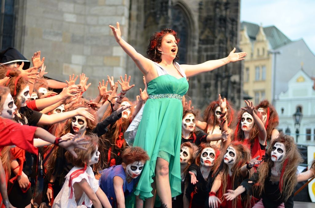 Během tří dnů návštěvníci na třech scénách zhlédli čtyři desítky představení, novinkami byli provazochodec Saltimbango ve výšce 27 metrů nad náměstním Republiky, obří loutky, netradiční houslista či žirafy v ulicích. V centru města nechyběli šermíři, dobové tržiště, Pohádková cesta, interaktivní dětská scéna s historickými hrátkami, folklorní soubory, tanečníci a představení Švejkovy c. k. manévry. (foto: Milan Svoboda, 13.-15.6.2014)