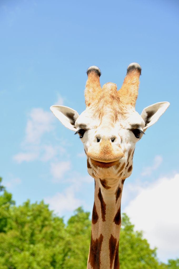 Zoologická a botanická zahrada města Plzně (foto: 10.5.2014)