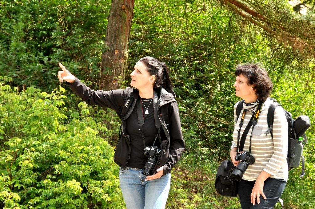 Zoologická a botanická zahrada města Plzně (foto: 10.5.2014)