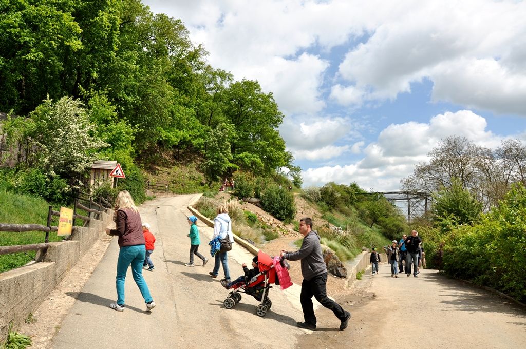 Zoologická a botanická zahrada města Plzně (foto: 10.5.2014)