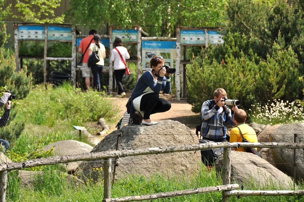 Zoologická a botanická zahrada města Plzně (foto: 10.5.2014)