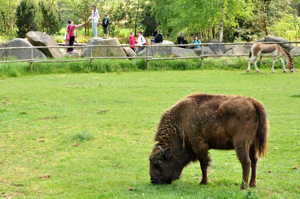 Zoologická a botanická zahrada města Plzně (foto: 10.5.2014)