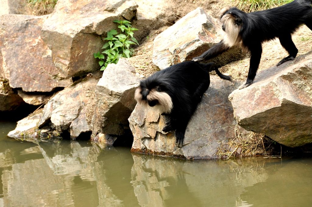 Zoologická a botanická zahrada města Plzně (foto: 10.5.2014)