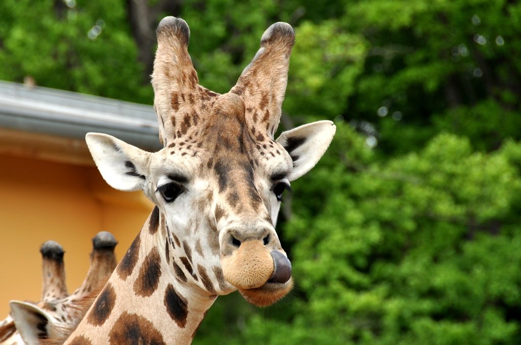 Fotovýlet do plzeňské zoo - část 2.
