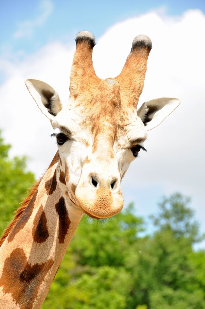 Zoologická a botanická zahrada města Plzně (foto: 10.5.2014)