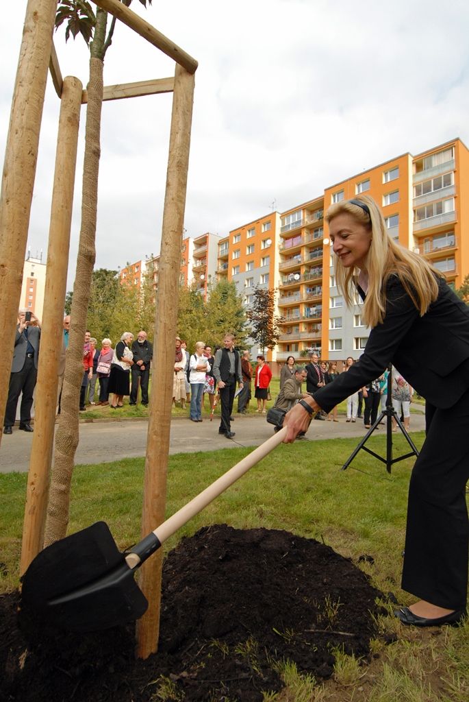Regionální dobrovolnické centrum TOTEM zahájilo třetí sezonu svých aktivit v nově opravených prostorách v Kaznějovské ulici v Bolevci. Při této příležitosti poděkovalo svým klientům a partnerům za podporu a spolupráci při budování mezigeneračního centra, které především na bázi dobrovolnictví připravuje aktivity pro všechny věkové kategorie. Akce byla zahájena vysázením dvou stromů v blízkosti budovy, když staré musely být během rekonstrukce poraženy, a proto si spolek vzal za cíl nové stromy vysadit. Šlo také o první z „15 totemových zastavení“, které centrum pro nadcházející sezonu připravilo. (foto: 10.9.2014)