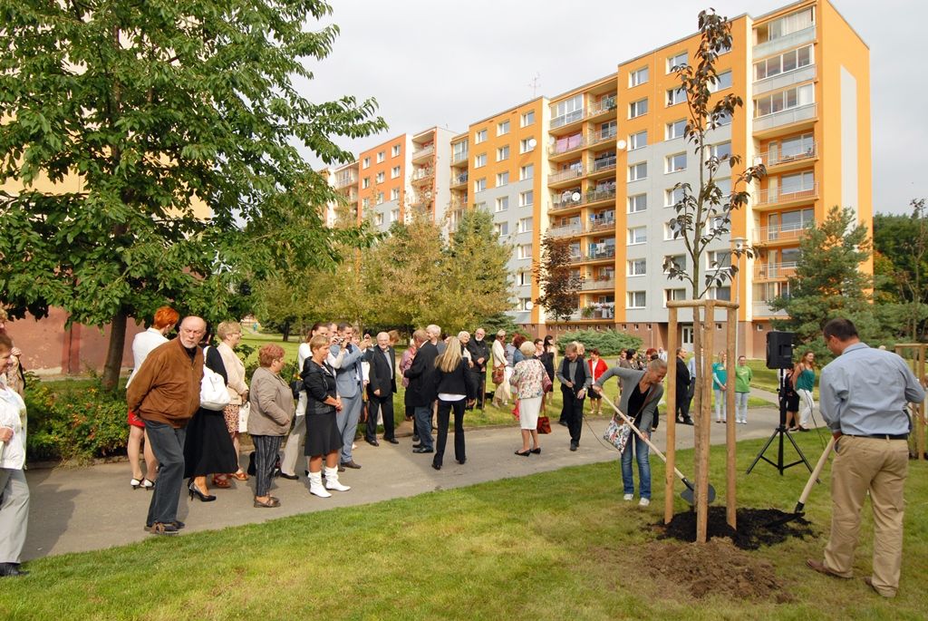 Dobrovolnické centrum Totem zahájilo sezonu vysázením dvou nových stromů