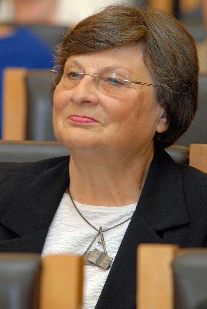 Cenu města Plzně získal na základě rozhodnutí Zastupitelstva města Plzně bývalý městský archivář PhDr. Ing. Ivan Martinovský za publikaci Dějiny města Plzně od počátků osídlení až po současnost, jejímž byl iniciátorem, autorem koncepce a vedoucím autorského kolektivu i jeho nejdůležitějším členem, a za spoluautorství edice Vladislavské zřízení zemské a navazující prameny. Vyobrazení městské historické pečetě obdrželi: prof. Ing. Gabriela Basařová, DrSc.; doc. MgA. Jan Burian; prof. MUDr. Jan Kilian, DrSc.; doc. akad. mal. Josef Mištera; PhDr. Dagmar Svatková. (foto: 28.9.2014)