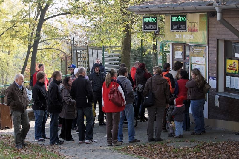 Plzeň ale oslavami žila celý den. Více než dvacet zajímavých míst mohli lidé navštívit zdarma nebo za zvýhodněné vstupné. Zájem byl nebývalý nejen tam, kam se veřejnost běžně nedostane, jako například Doosan Arena, atletický stadion ve Skvrňanech, vodárna nebo Loosovy interiéry, ale i v Techmanii, zoologické a botanické zahradě nebo Západočeském muzeu. Oslavy vzniku republiky zakončil na náměstí Republiky slavnostní ohňostroj na písničky Jiřího Suchého. Předcházel mu Průvod světel s několika tisíci účastníky. (foto: R. Muchka, 28.10.2014)