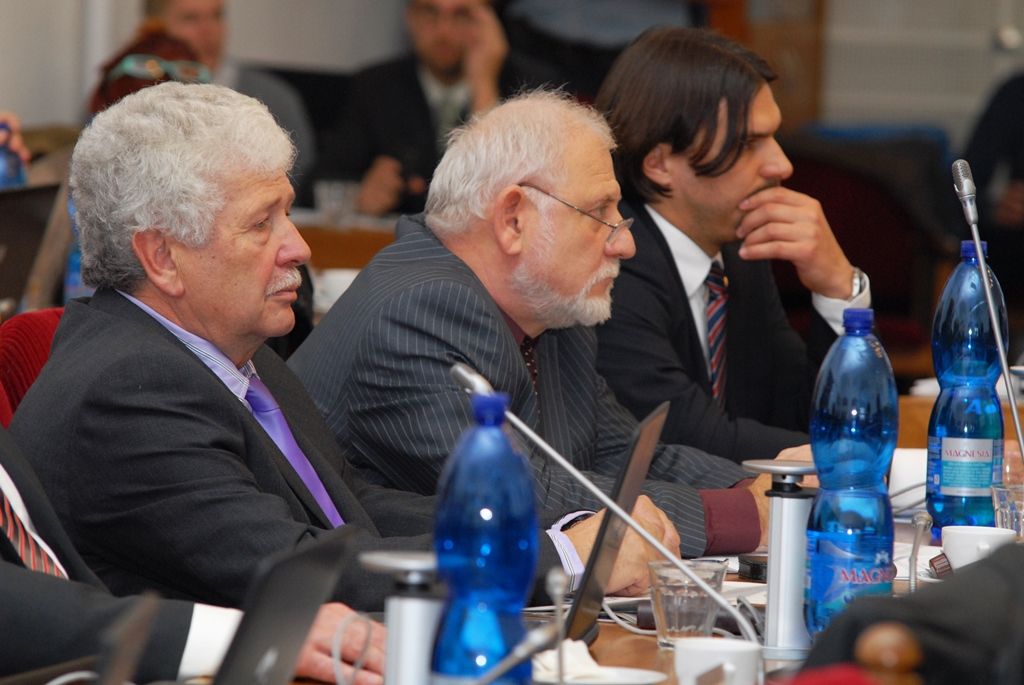 Primátorem byl 28 hlasy zvolen Martin Zrzavecký (ČSSD), prvním náměstkem pro oblast kultury, cestovního ruchu, památkové péče a projektu Plzeň – Evropské hlavní město kultury 2015 Martin Baxa z ODS (27 hlasy), náměstkem pro oblast ekonomickou Pavel Kotas z ČSSD (27 hlasy), náměstkem pro oblast dopravy a životního prostředí Petr Náhlík z KDU - ČSL (27 hlasy), náměstkem pro oblast technickou Pavel Šindelář z ODS (28 hlasy) a náměstkyní pro oblast školství a sociálních věcí Eva Herinková z ČSSD (27 hlasy). Zastupitelstvo zvolilo i ostatní uvolněné členy rady pro oblast nakládání s majetkem města Helenu Matoušovou z ODS (27 hlasy), pro oblast podpory podnikání a sportu Michala Dvořáka z hnutí Občané patrioti (28 hlasy) a neuvolněného člena rady pro oblast správy městských nemovitostí Davida Šloufa z ODS (27 hlasy). (foto: 6.11.2014)