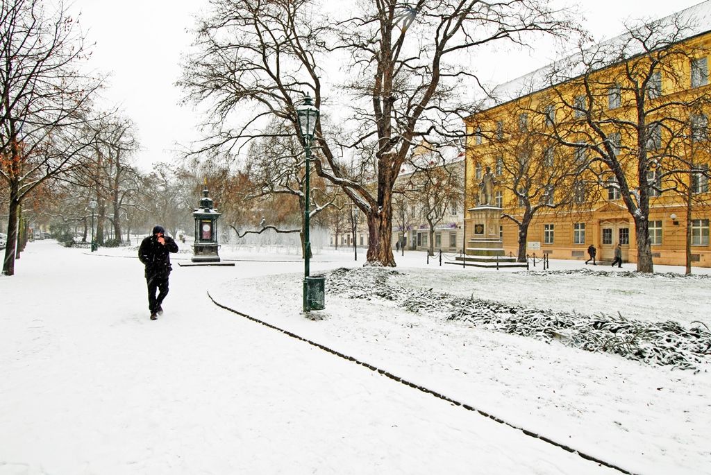 Smetanovy a Kopeckého sady letos poprvé pokryl bílý koberec (foto: 29.12.2014)