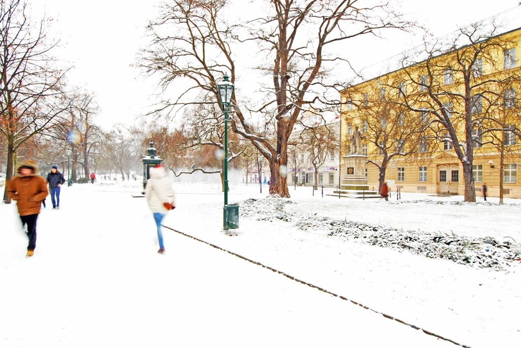 Prosincové Smetanovy a Kopeckého sady 2014