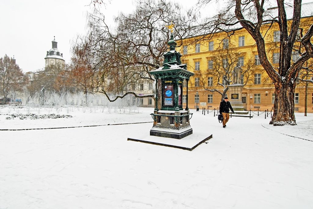 Smetanovy a Kopeckého sady letos poprvé pokryl bílý koberec (foto: 29.12.2014)